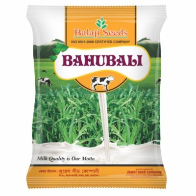 HY. BAHUBALI